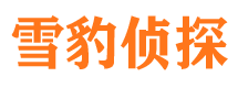 南郊外遇出轨调查取证